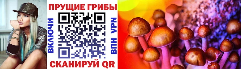 Псилоцибиновые грибы MAGIC MUSHROOMS Находка